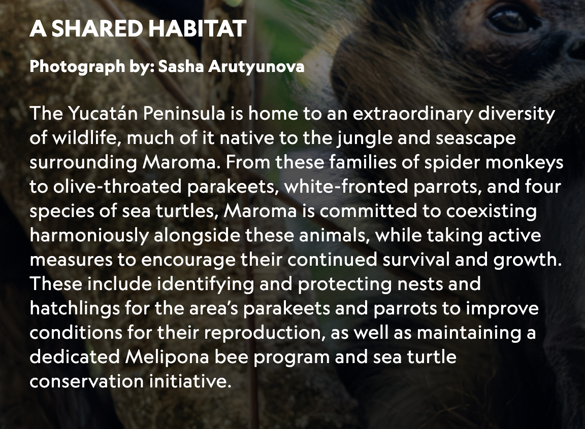 A Shared Habitat — photo gallery caption