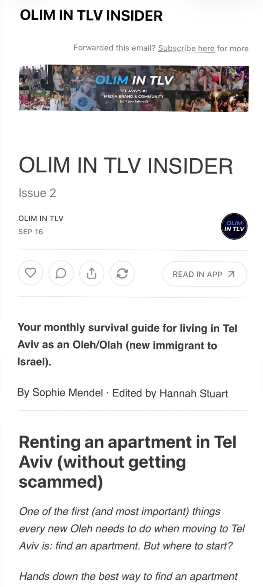 Olim in Tel Aviv Newsletter Issue 2