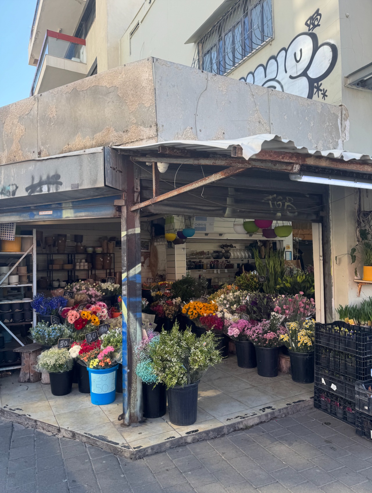 flower shop shuk tel aviv