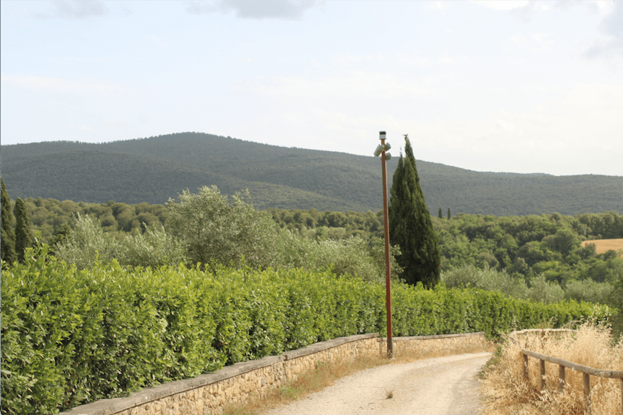tuscany tours, florence day trip, florence itinerary, tuscan countryside, tuscany destinations, tuscany tours from florence