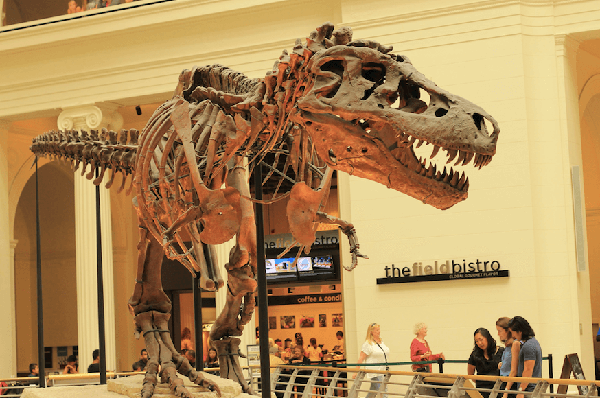 chicago field museum, chicago itinerary, dinosaur, planning a trip to chicago