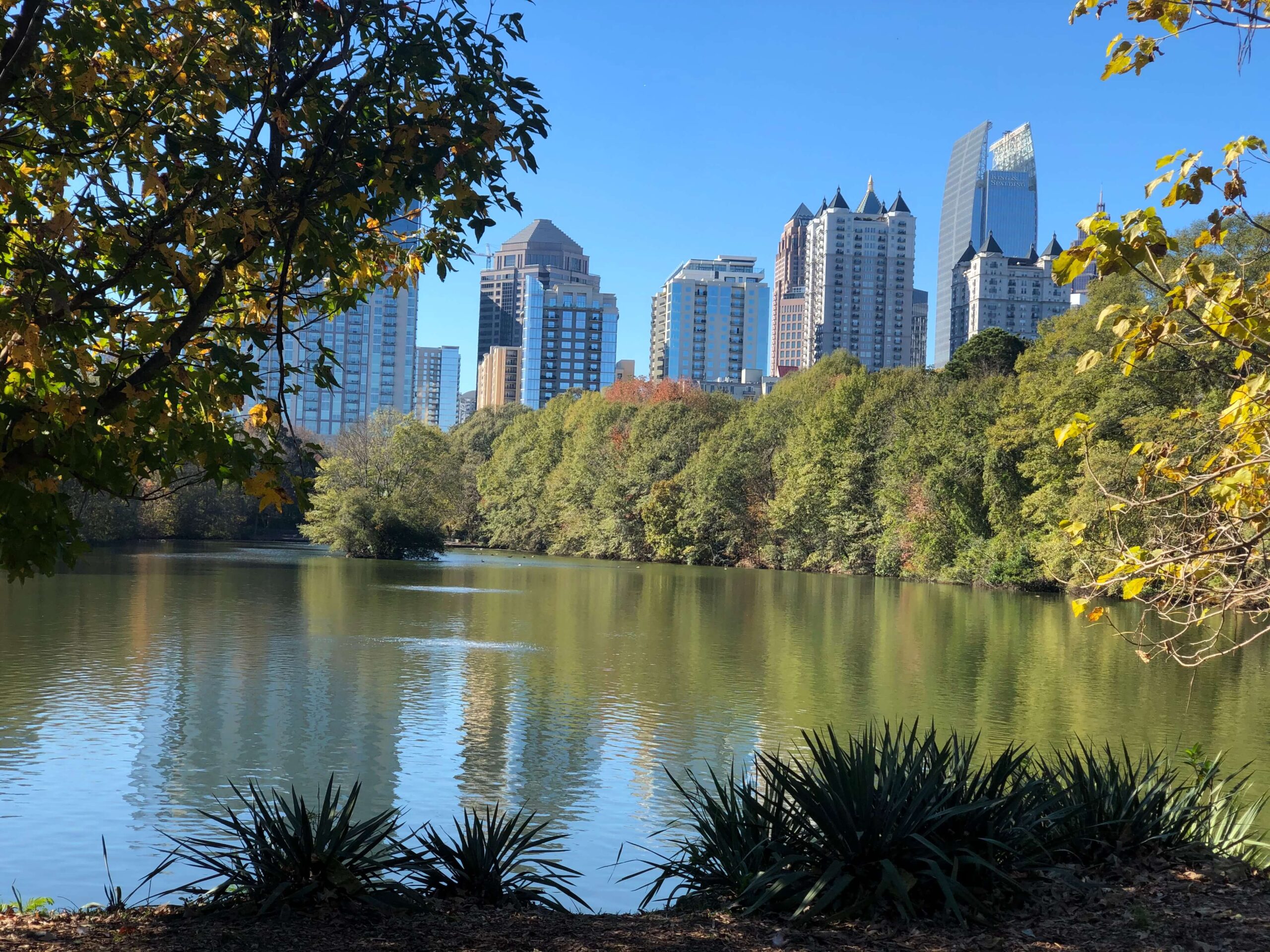 piedmont park atlanta